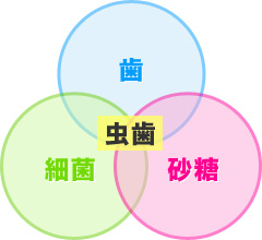 こどもの虫歯と予防